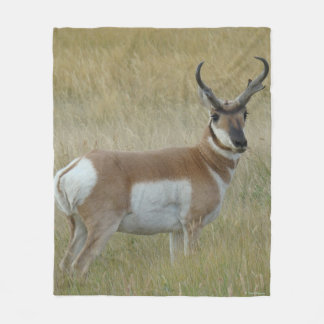 A1 Pronghorn Antelope Big Buck Fleece Deken