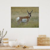 A1 Pronghorn Antelope Big Buck Poster (Keuken)