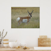A1 Pronghorn Antelope Big Buck Poster (Keuken)