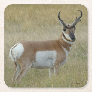 A1 Pronghorn Antelope Big Buck Vierkante Kartonnen Onderzetter