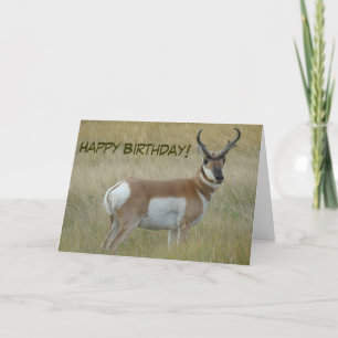 A1 Pronghorn de Bok van de Antilope Kaart