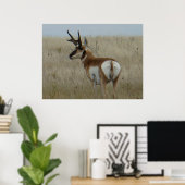 A22 Pronghorn Antelope Big Buck Poster (Thuiskantoor)