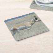 A23 Young Pronghorn Antelope Vierkante Kartonnen Onderzetter (Schuin)