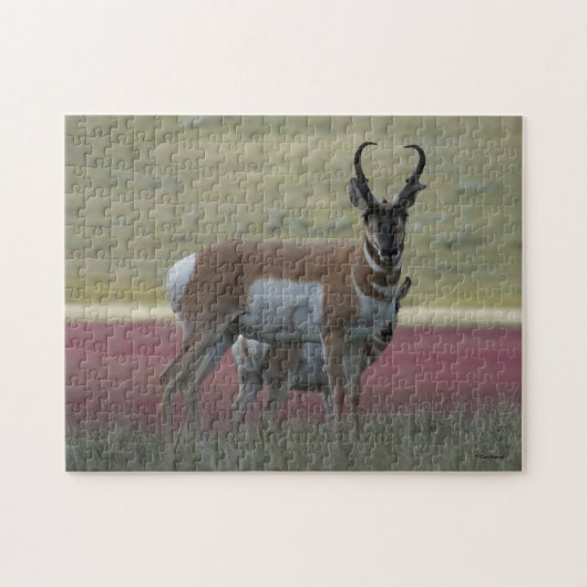 A24 Gaffelantilope Legpuzzel (Horizontaal)