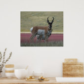 A24 Pronghorn Antelope Poster (Keuken)