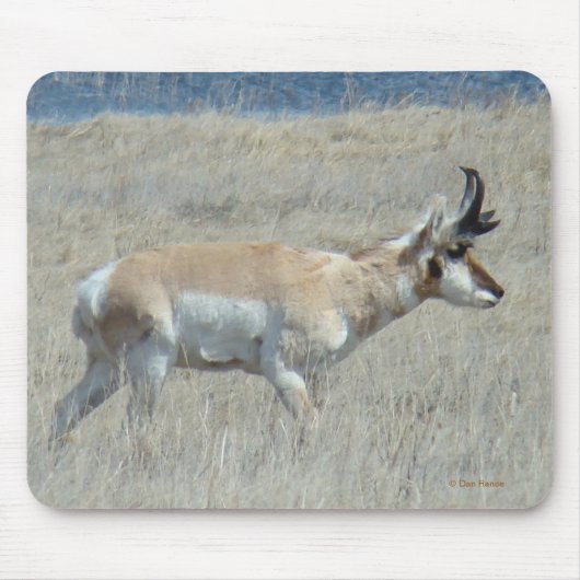 A25 Antelope Buck Muismat (Voorkant)