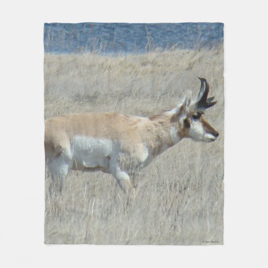 A25 Gaffelbok Fleece Deken (Voorkant)