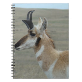 A29 Gaffelantilope Jong Bok Kopprofiel Notitieboek