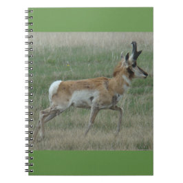 A32 Gaffelbok hertenbok Notitieboek