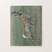 A32 Pronghorn Antelope Legpuzzel (Verticaal)