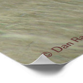 A33 Pronghorn Antelope Crooked Horns Poster (Hoek)