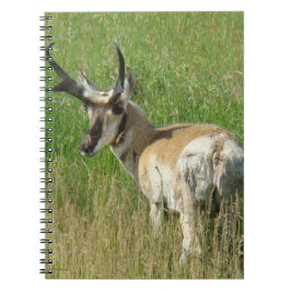 A35 Pronghorn Antelope Buck Notitieboek