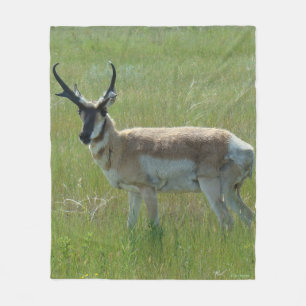 A36 Gaffelbok-antilope mannetje Fleece Deken