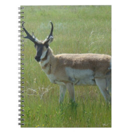 A36 Gaffelbok Ram Notitieboek