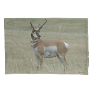 A37 Gaffelantilope Grote Bok Kromme Hoorns Kussensloop