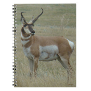 A37 Pronghorn Antelope Crooked Horns Notitieboek