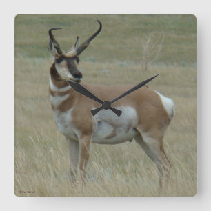 A37 Pronghorn Antelope Crooked Horns Vierkante Klok