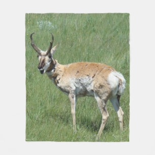 A3 Gaffelbok ram kauwende Fleece Deken
