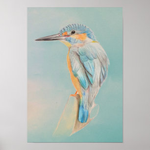 A3 Prachtige Kingfisher Pencil Tekening Afdruk Poster