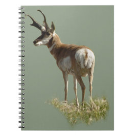 A43 Gaffelbok Hertenbok Ram Notitieboek