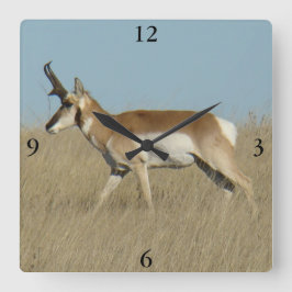 A45a Pronghorn Antelope Buck Vierkante Klok