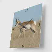 A45a Pronghorn Antelope Buck Vierkante Klok (Hoek)