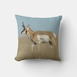 A45b Pronghorn Antelope Buck Kussen