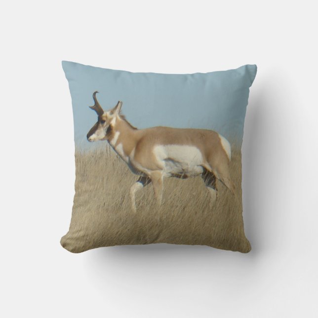 A45b Pronghorn Antelope Buck Kussen (Voorkant)