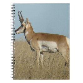 A46 Gaffelbok Antilope Notitieboek