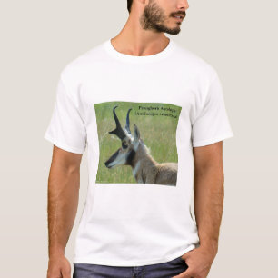 A47 Gaffelantilope Grote Bok Kop Profiel T-shirt