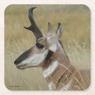 A4 Gaffelantilope bok kopprofiel Vierkante Kartonnen Onderzetter
