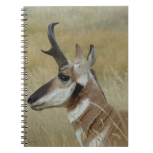 A4 Pronghorn Antelope Young Buck Head Shot Profile Notitieboek