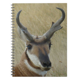 A5 Gaffelantilope Grote Bok Kopschot Notitieboek