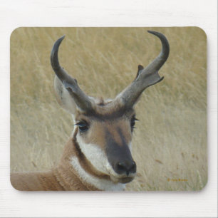 A5 Gaffelantilope Muismat
