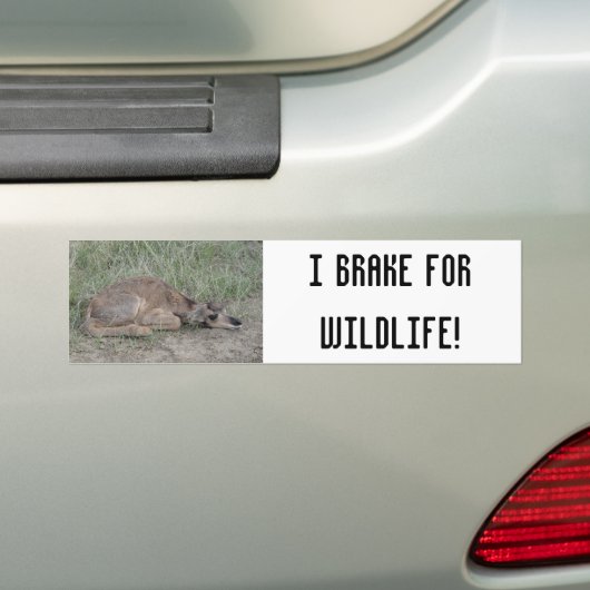 A6 Baby Pronghorn Antelope Bumpersticker (Op auto)