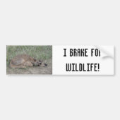 A6 Baby Pronghorn Antelope Bumpersticker (Voorkant)