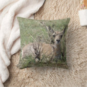 A7 Baby Gaffelantilope Kussen (Deken)