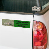A7 Baby Pronghorn Antelope Bumpersticker (Op Truck)