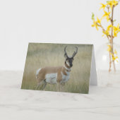 A8 Pronghorn Antelope Big Buck Kaart (Gele Bloem)