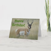 A8 Pronghorn Antelope Big Buck Kaart (Voorkant)
