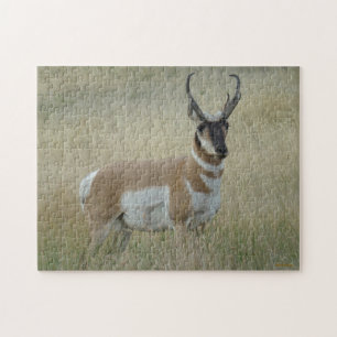 A8 Pronghorn Antelope Big Buck Legpuzzel