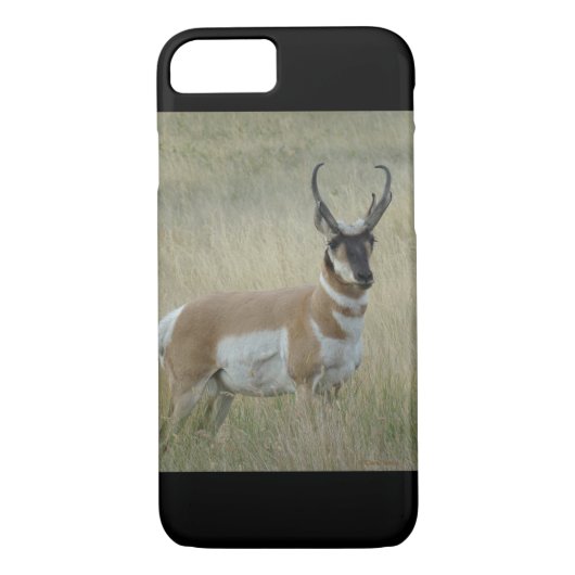A8 Pronghorn Antelope Buck Case-Mate iPhone Case (Achterkant)