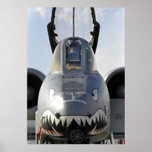 A-10 Thunderbolt II-Vliegtuig Poster