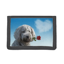 Portefeuille photo I Woof You