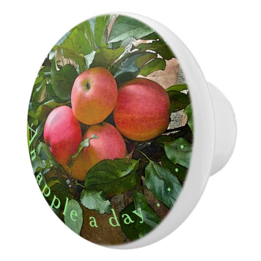 "A APPET A DAY"/CLUSTER VAN APPLES KERAMISCHE KNOP (Rechts)