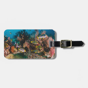 À Bagage Coral Reef étiquette de bagages personnalisée