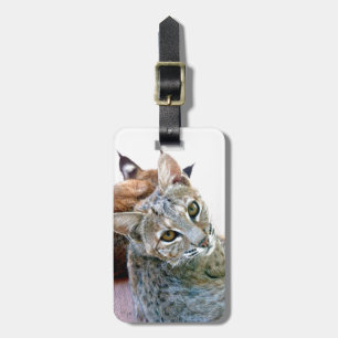 À Bagage Étiquette de bagages de chat sauvage du regard