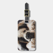 À Bagage Étiquette de chien de St Bernard (Devant Vertical)