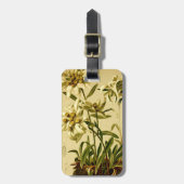 À Bagage Étiquette d'edelweiss (Devant Vertical)