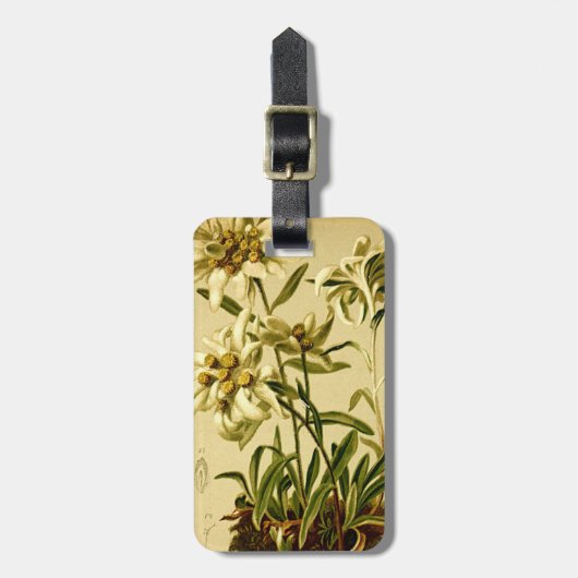 À Bagage Étiquette d'edelweiss (Devant Vertical)